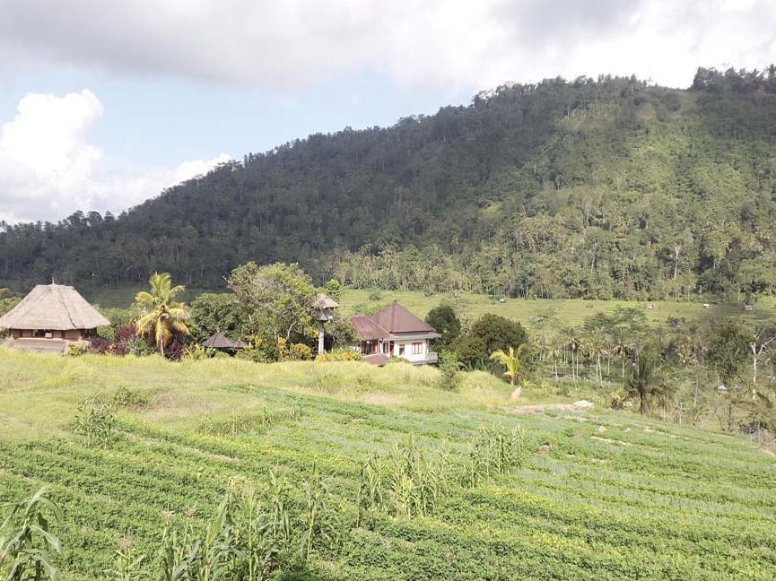 Embang Homestay Сидемен Екстериор снимка